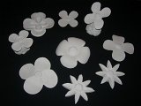 dscn6271.jpg